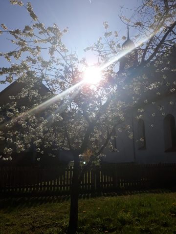 Ostermorgen in Modau